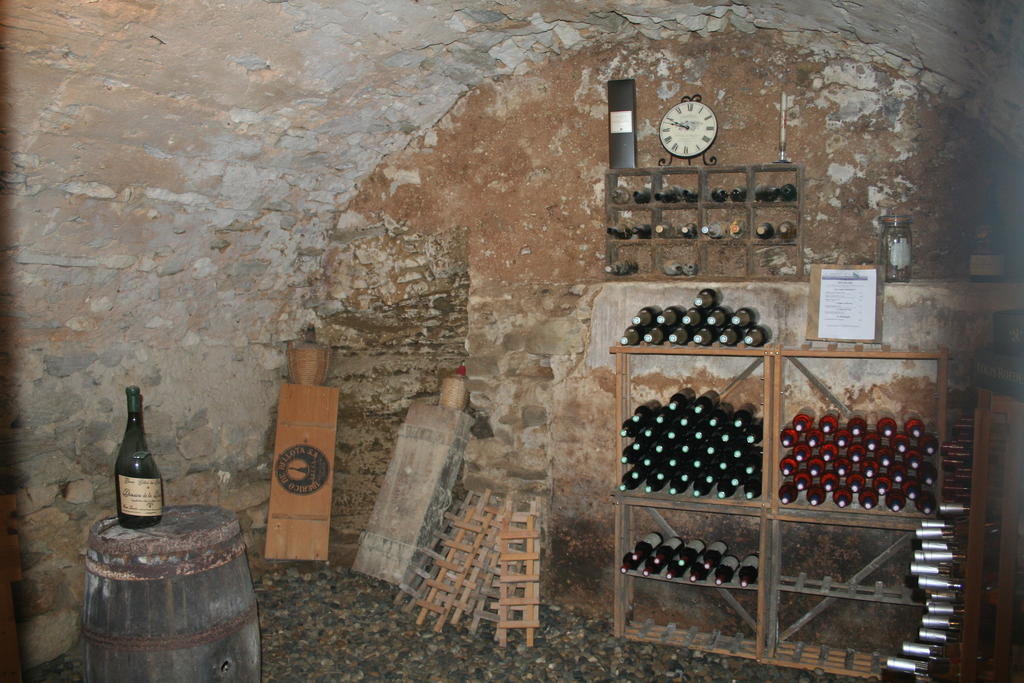 La Salamandre Bleue Villa Chantemerle-lès-Grignan Exteriör bild