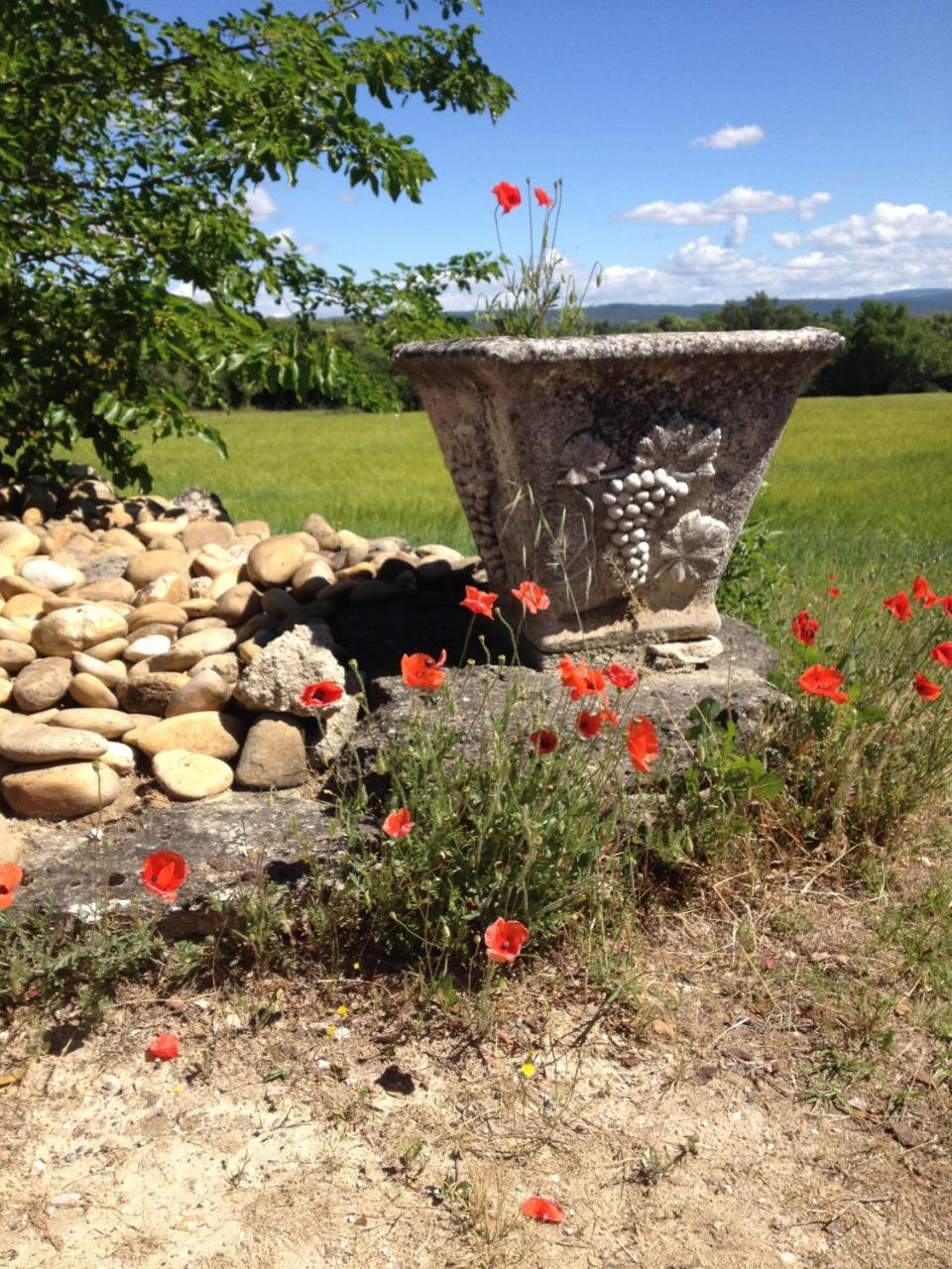 La Salamandre Bleue Villa Chantemerle-lès-Grignan Exteriör bild